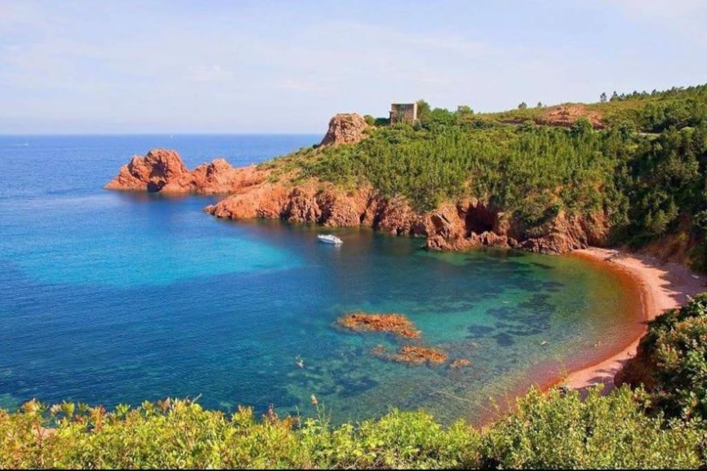 Chaleureux Appartement Face Au Port Sta Lucia, Tout A Pieds, Wifi Saint-Raphaël Exterior foto